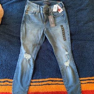 Torrid Distressed Skinny Jeans